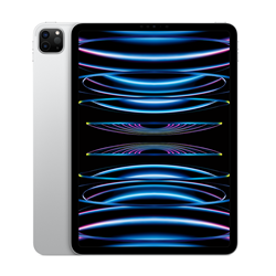 11-Inch iPad Pro WiFi 256GB 4th Gen - The Mizzou Store